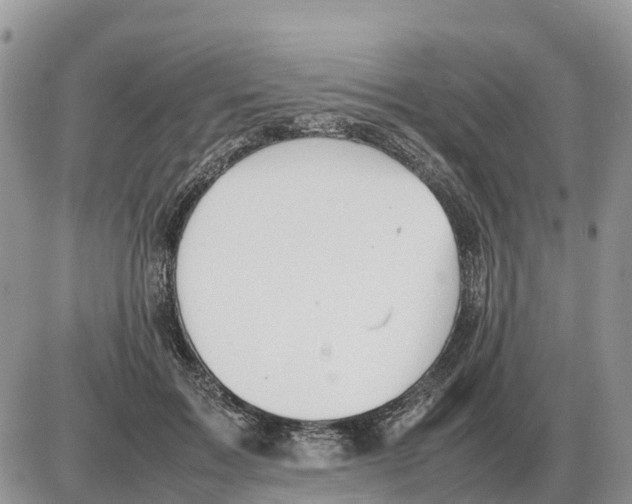 X0000086060603200704202103