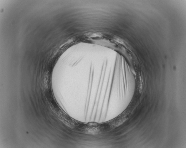 X0000086060604200704202103