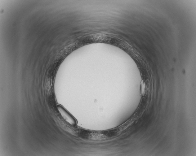 X0000086060605200704202103