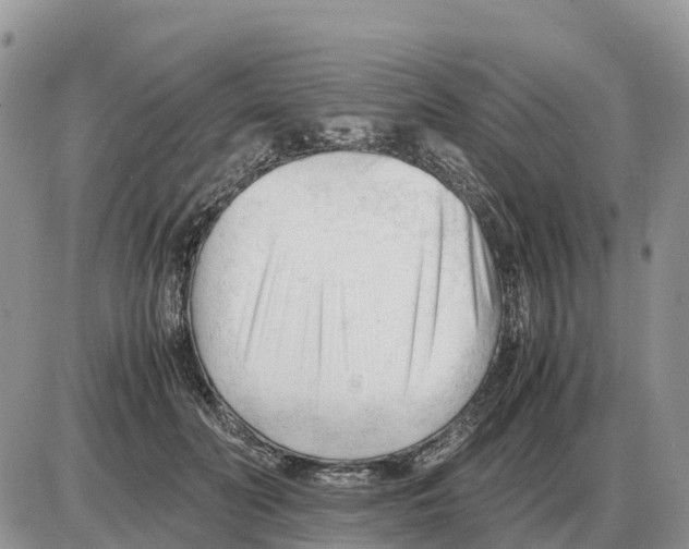 X0000086060606200704202102