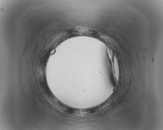 X0000086060607200704202102