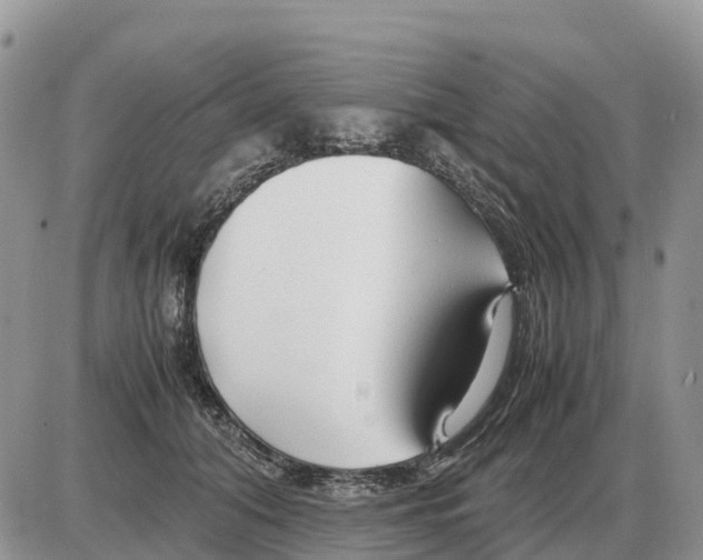 X0000086060608200704202102