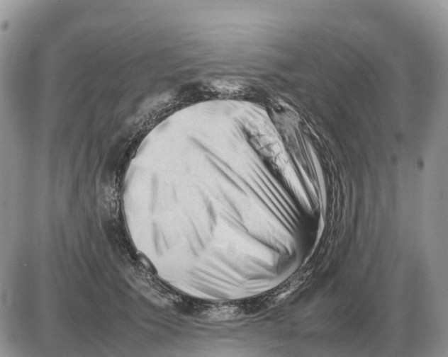 X0000086060609200704202102