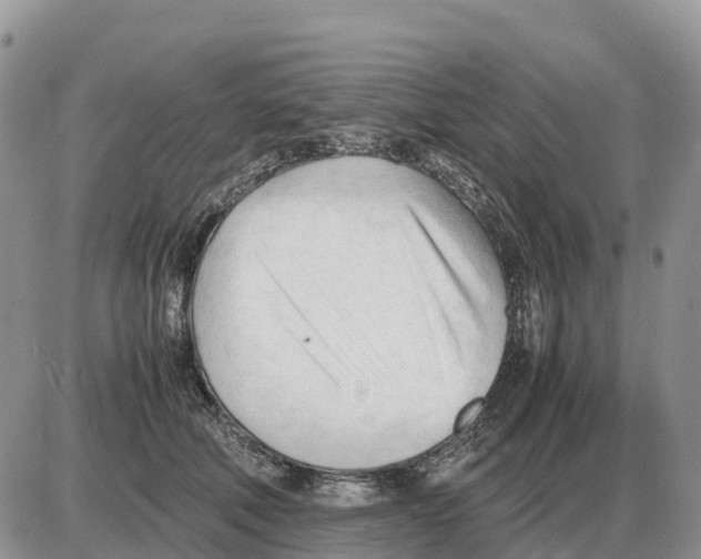 X0000086060610200704202102