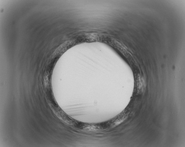 X0000086060611200704202102