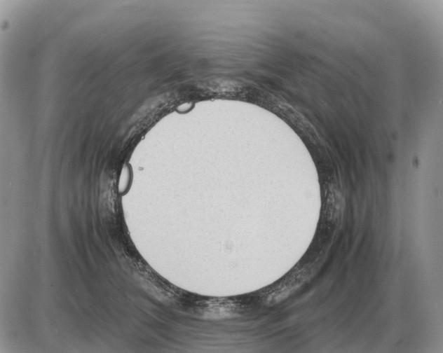 X0000086060612200704202102