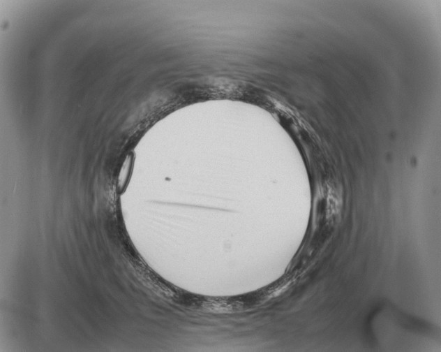 X0000086060613200704202102