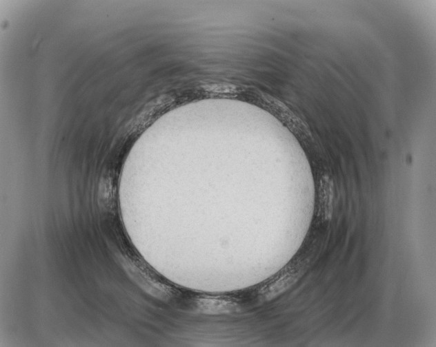 X0000086060614200704202102