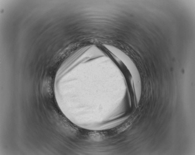 X0000086060616200704202102