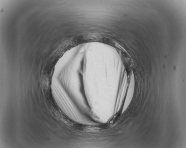 X0000086060617200704202102