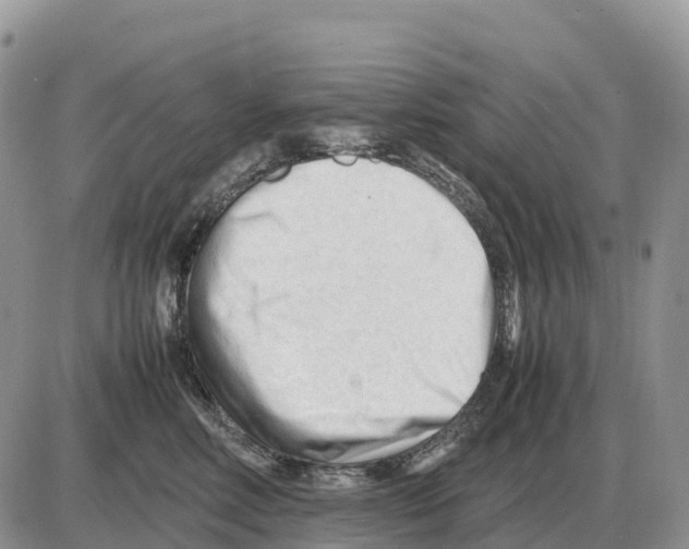 X0000086060618200704202102