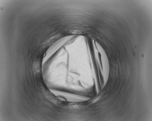 X0000086060620200704202102