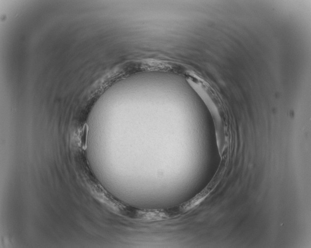 X0000086060621200704202102