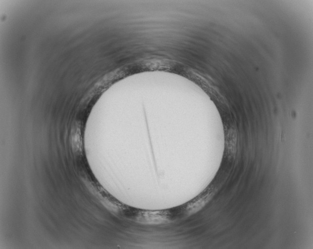 X0000086060622200704202102