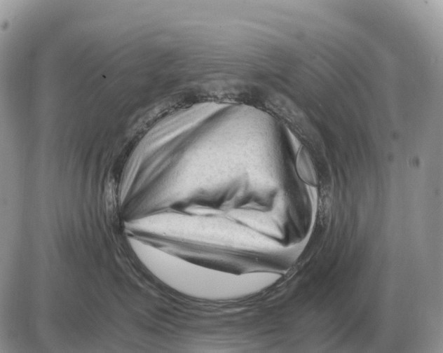 X0000086060623200704202102