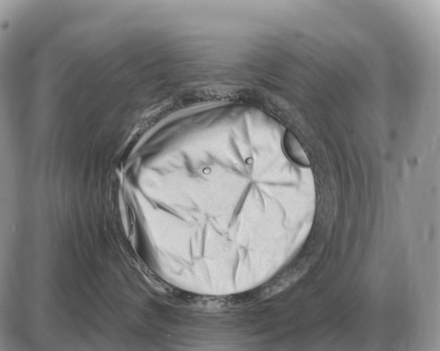 X0000086060624200704202102