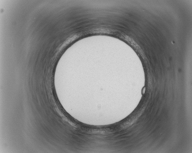 X0000086060625200704202101