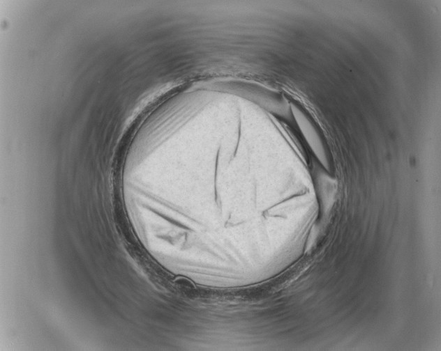 X0000086060626200704202101