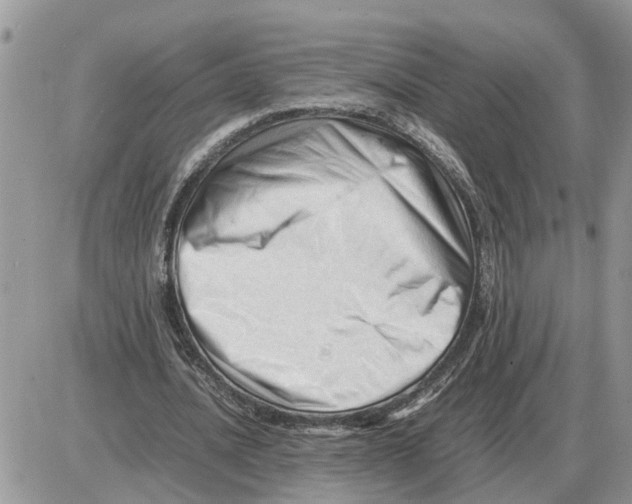 X0000086060628200704202101