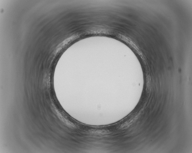 X0000086060629200704202101