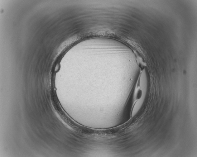 X0000086060630200704202102