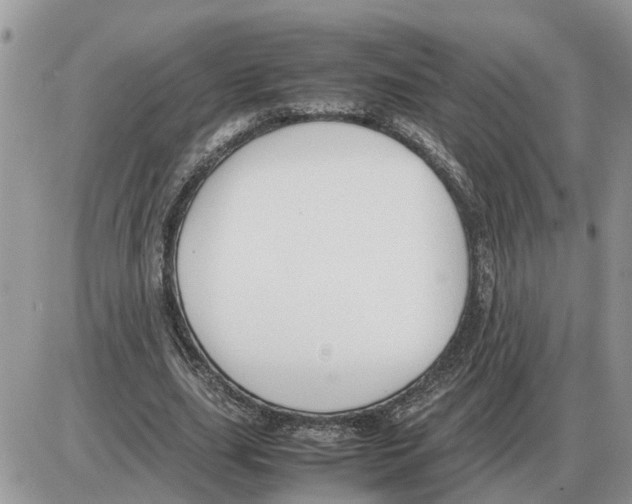 X0000086060631200704202102