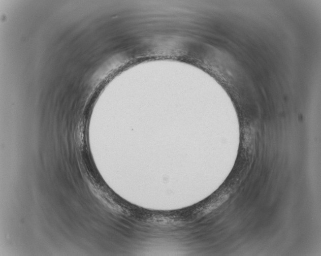 X0000086060632200704202102