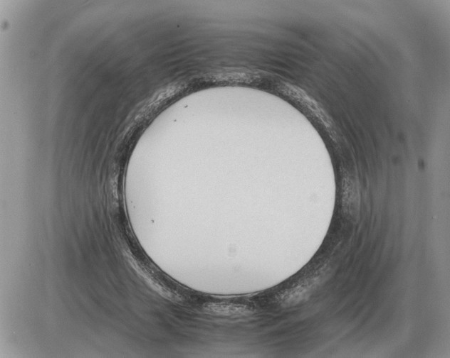 X0000086060633200704202102