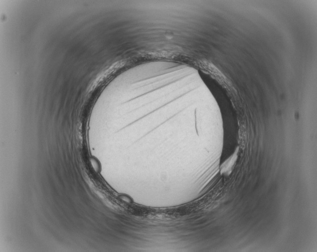 X0000086060634200704202102