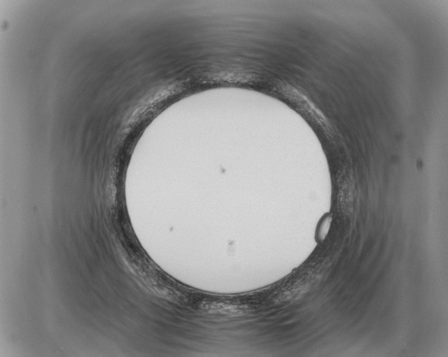 X0000086060635200704202102