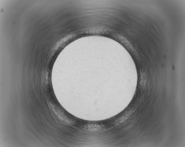 X0000086060636200704202102