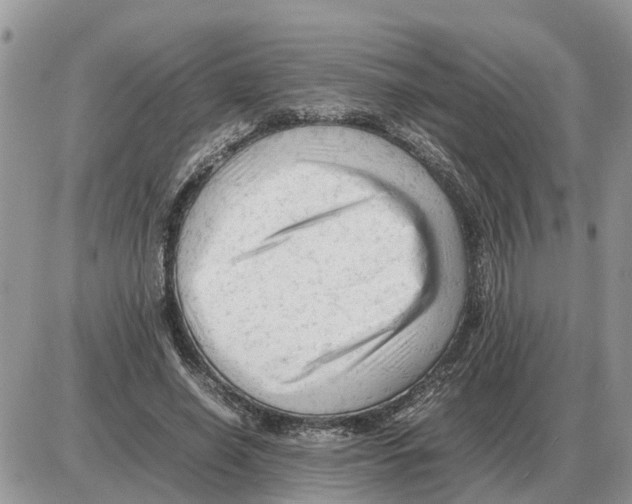 X0000086060638200704202102