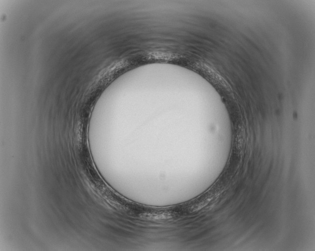 X0000086060639200704202102