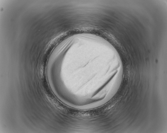 X0000086060640200704202102