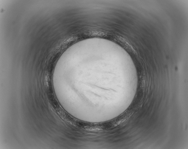 X0000086060643200704202102