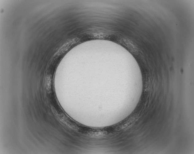 X0000086060646200704202102