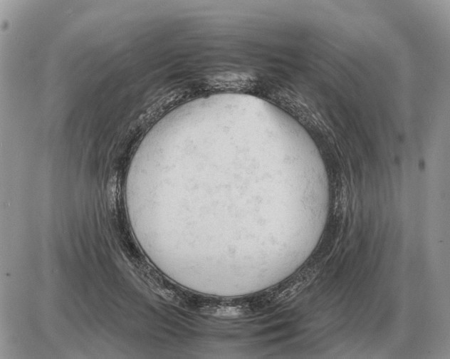 X0000086060647200704202102