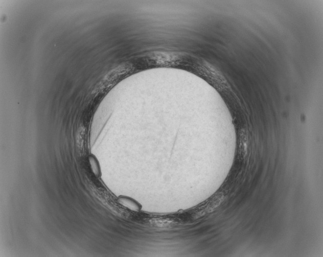 X0000086060650200704202102