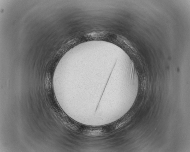 X0000086060651200704202102