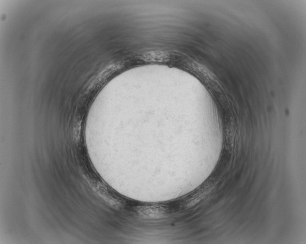 X0000086060652200704202102