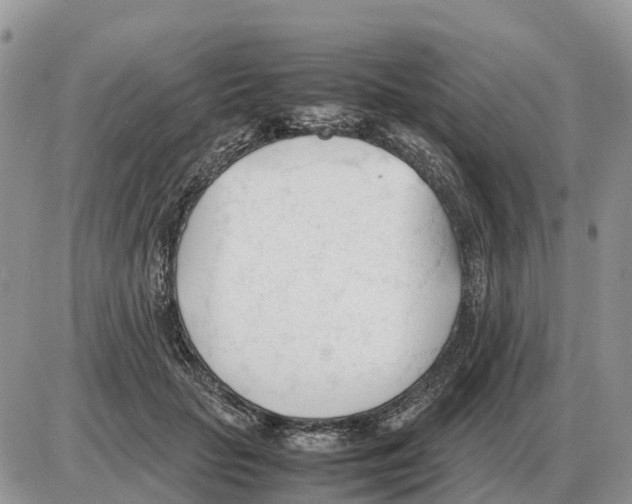 X0000086060653200704202102