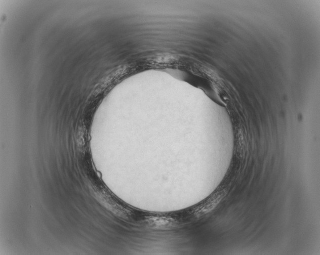 X0000086060654200704202102