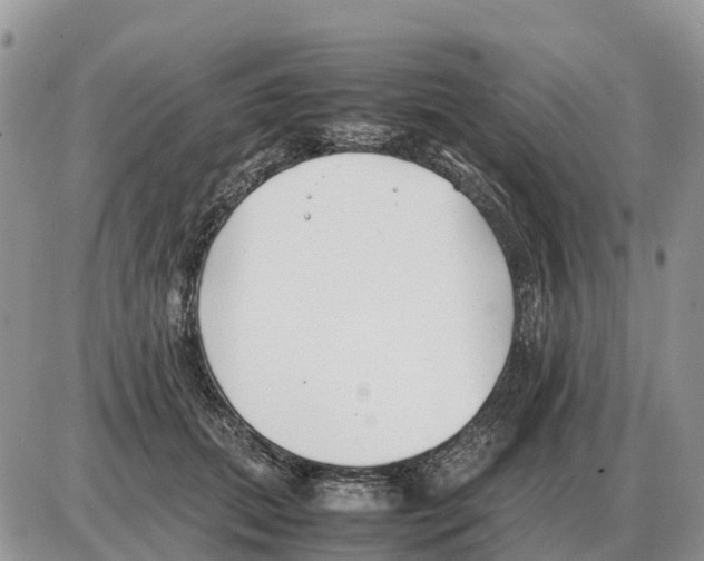 X0000086060655200704202102