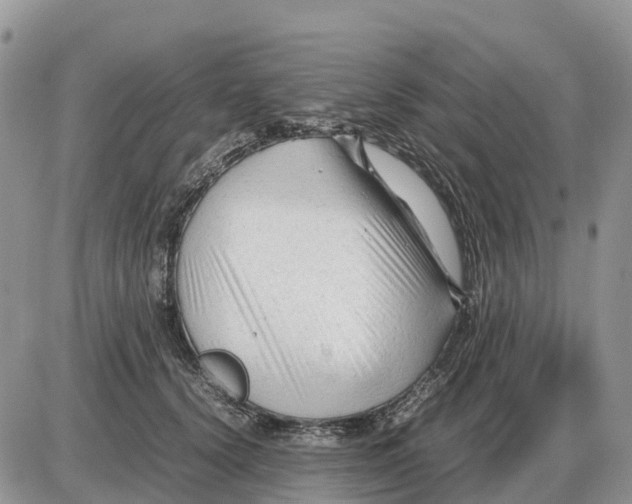 X0000086060656200704202102