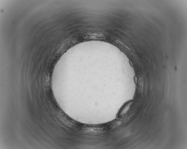 X0000086060657200704202102