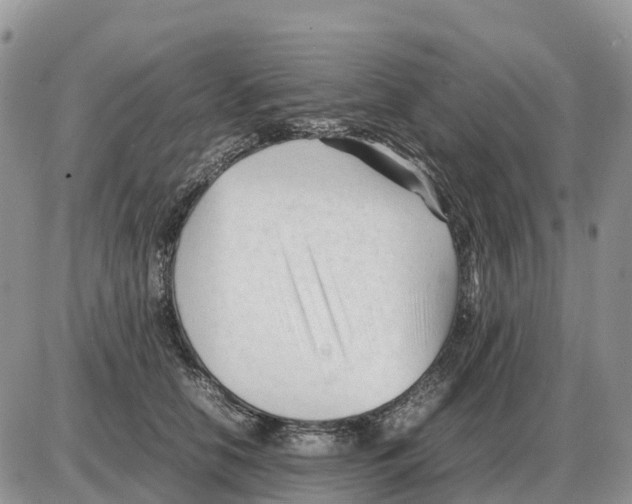 X0000086060658200704202102