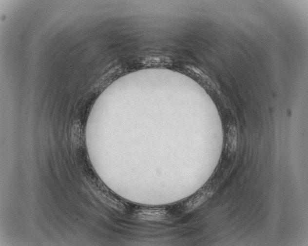 X0000086060659200704202102