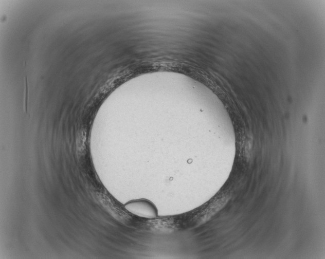 X0000086060660200704202102