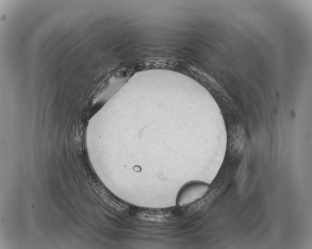 X0000086060661200704202102