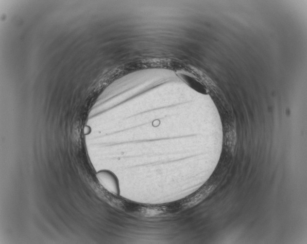 X0000086060662200704202102